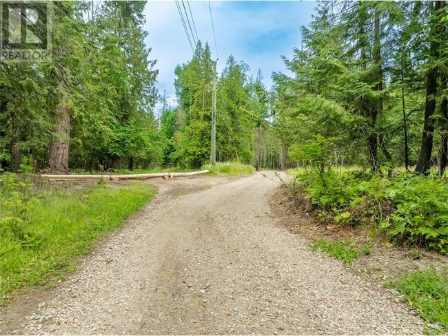 4006 Express Point Rd, House other with 4 bedrooms, 2 bathrooms and null parking in Scotch Creek BC | Image 69