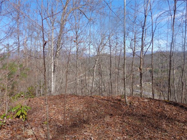 View from lower area of Property | Image 6