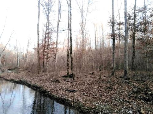 lot-13-00 Deer Ridge Rd, Waynesboro, TN, 38485 | Card Image