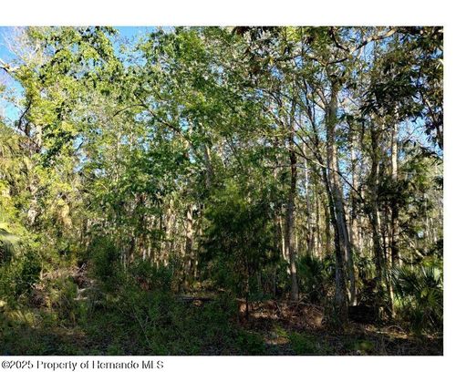 0 Indian Bay Rd, SPRING HILL, FL, 34607 | Card Image