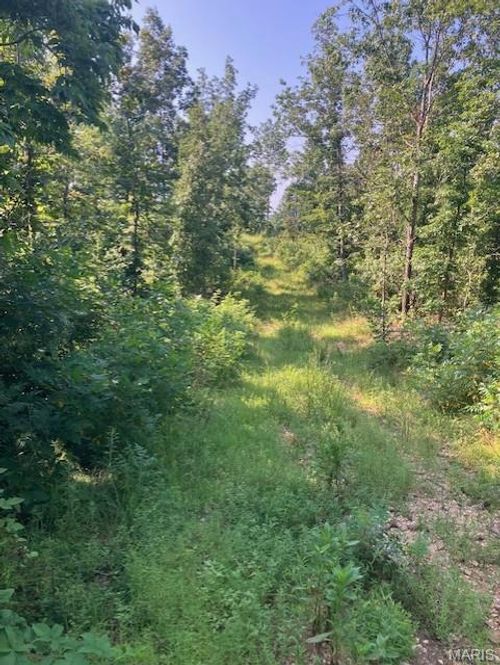 281 Madison Cr 410, Fredericktown, MO, 63645 | Card Image