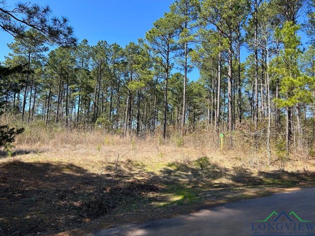 60 ac TBD Cr 1453, Home with 0 bedrooms, 0 bathrooms and null parking in Linden TX | Image 4