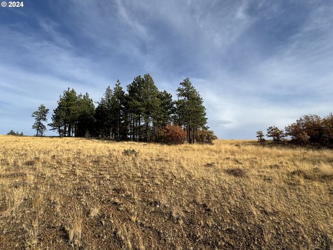 0 Jensen Quarry Rd, Home with 0 bedrooms, 0 bathrooms and null parking in Bickleton WA | Image 27
