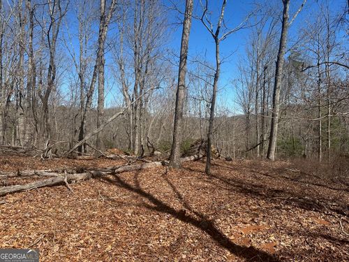 6.2 Mincey Acres Drive, Murrayville, GA, 30564 | Card Image
