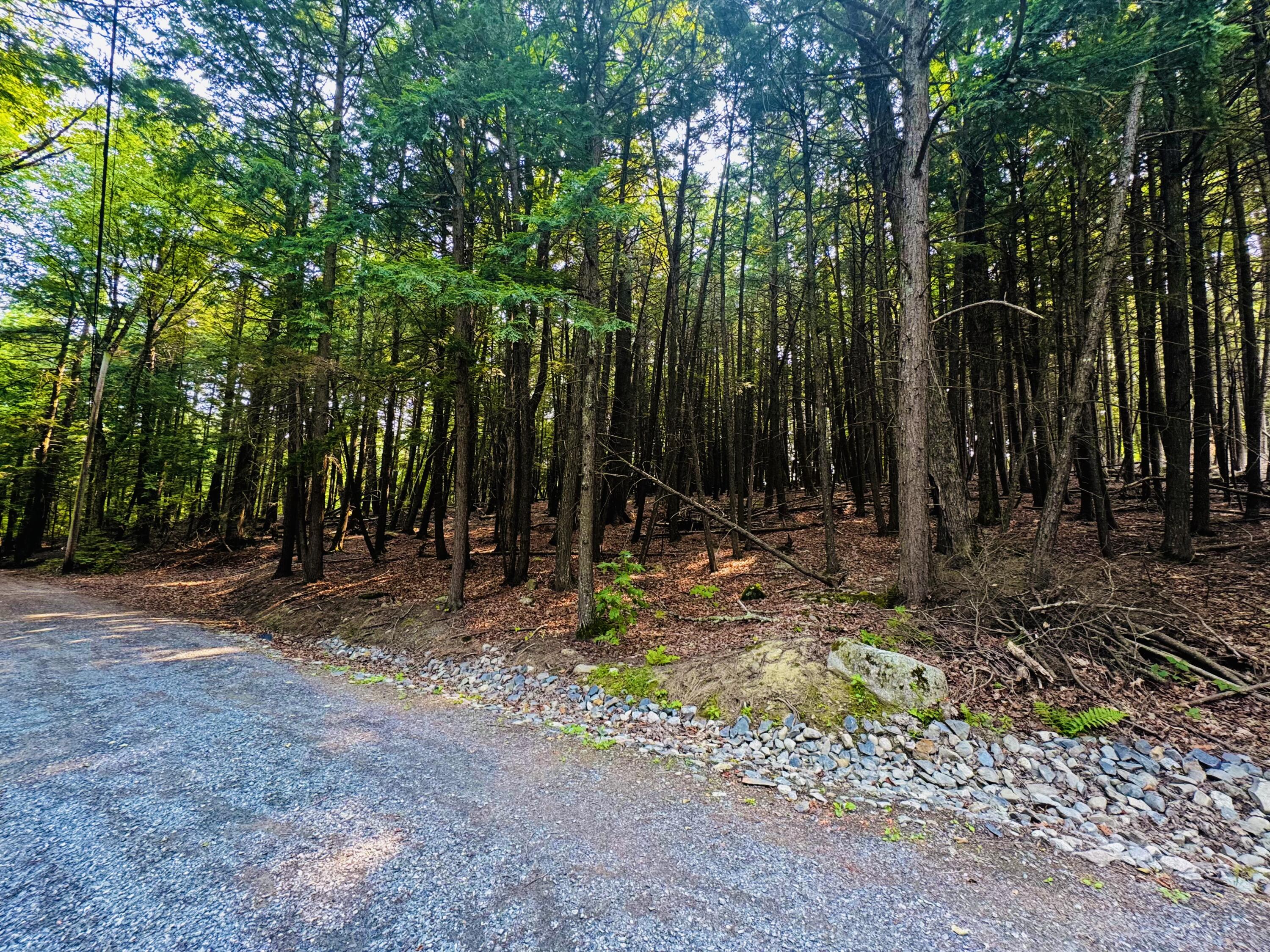 Land in Saint Albans 4