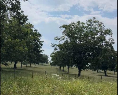 Tract #2 Fm 2548, Midway, TX, 75852 | Card Image