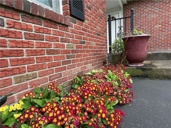 8584 Vieley Rd, House other with 4 bedrooms, 3 bathrooms and null parking in Campbell NY | Image 4