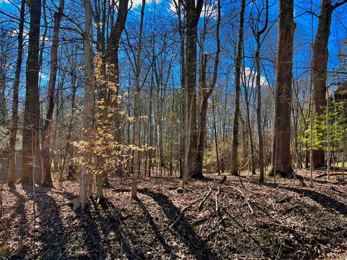 849 Terrace View Dr, Howard, OH, 43028-9503 | Card Image