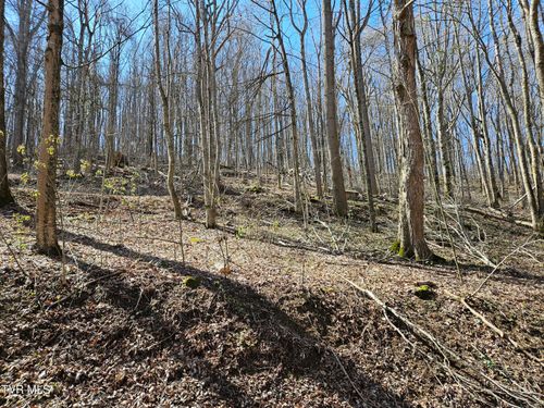 0 Shuler Hollow Rd, Chilhowie, VA, 24319 | Card Image