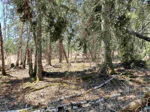Lot 2 Hoaglund Dr, Tofte, MN, 55615 | Card Image
