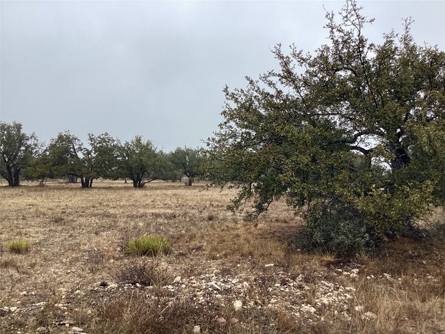 View of local wilderness with a rural view | Image 7