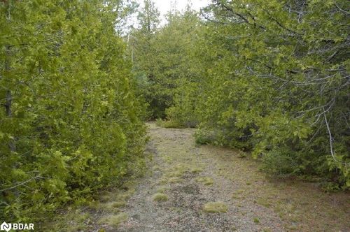 308 Ira Lake Rd, Lions Head, ON, N0H1W0 | Card Image