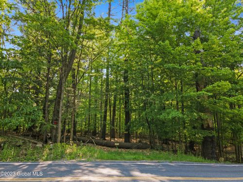 1732 Pilot Knob Rd, Kattskill Bay, NY, 12844-1808 | Card Image