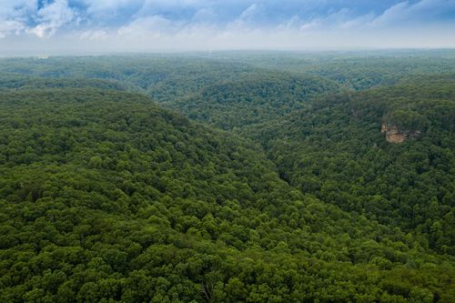 916 N Rim Dr, Coalmont, TN, 37313 | Card Image