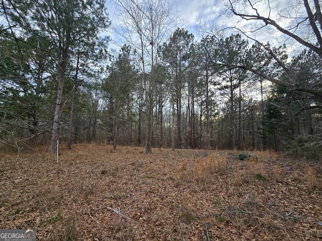 0 Willow St, Home with 0 bedrooms, 0 bathrooms and null parking in Stephens GA | Image 15