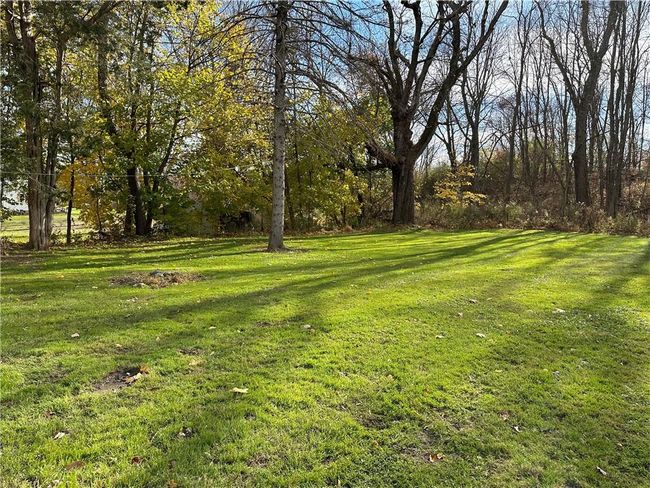 Backyard | Image 25
