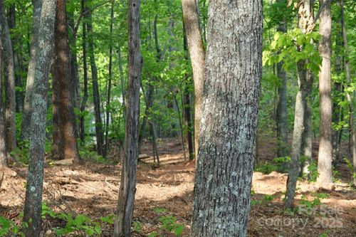 55 Arbra Mountain Way, Bostic, NC, 28018 | Card Image