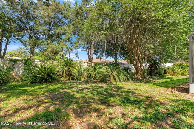 3029 Harrow Rd, House other with 3 bedrooms, 2 bathrooms and null parking in SPRING HILL FL | Image 21