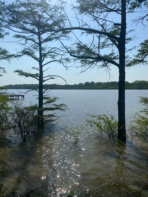 8 Neil Cv, Dundee, MS, 38626-8117 | Card Image