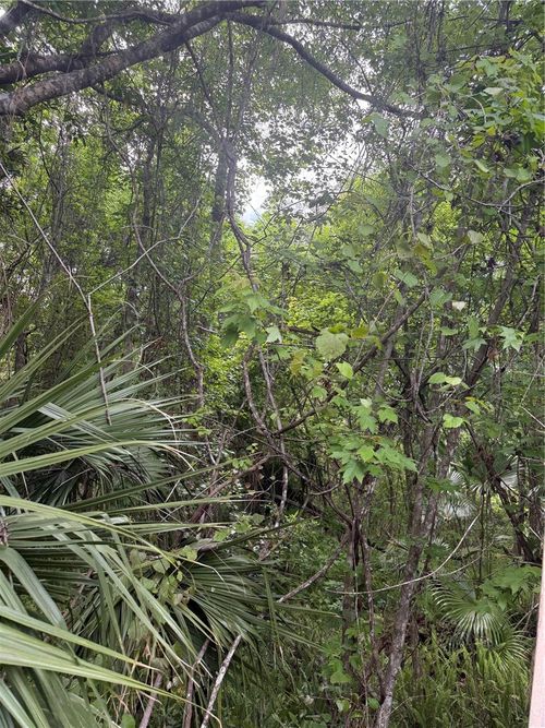 32937 Thoroughbred Trl, SORRENTO, FL, 32776-8891 | Card Image