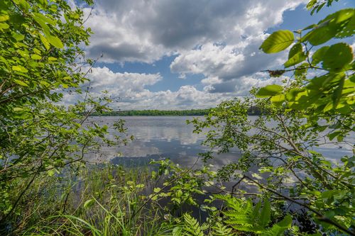 3-Off Ush 45, Three Lakes, WI, 54562-9034 | Card Image