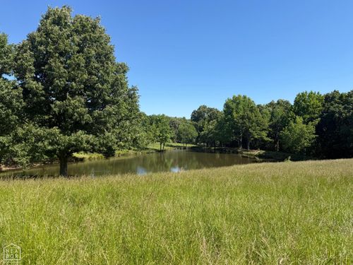 1 Clay 450 Road, Piggott, AR, 72454 | Card Image