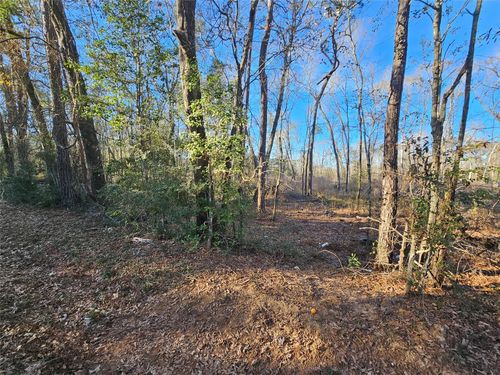 4 Sherwood Dr, Shepherd, TX, 77371-3360 | Card Image