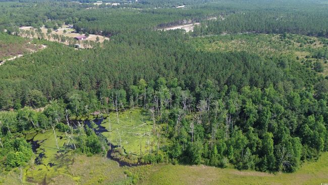 View of property location with a forest | Image 23