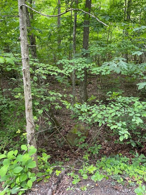 0 Sandlick Rd, Princeton, WV, 24739 | Card Image