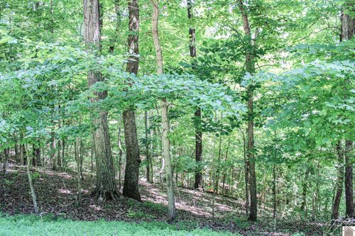 0 Algonquin Rd, Eddyville, KY, 42038 | Card Image
