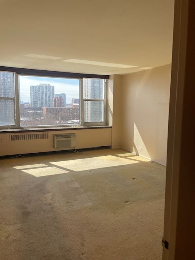 APT-1106 - 4250 N Marine Dr, Condo with 1 bedrooms, 1 bathrooms and 1 parking in Chicago IL | Image 11