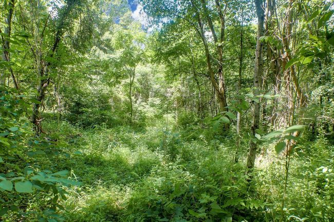 0 Calico Ridge Rd, Home with 0 bedrooms, 0 bathrooms and null parking in Logan OH | Image 5