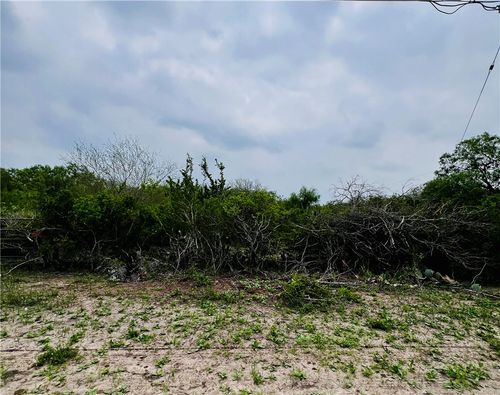 TBD Highway 359 Highway, Orange Grove, TX, 78372 | Card Image