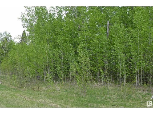 11032 Highway 13, Home with 0 bedrooms, 0 bathrooms and null parking in Westerose AB | Image 7