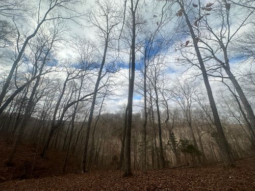 12 The Village Dr, Nancy, KY, 42544 | Card Image