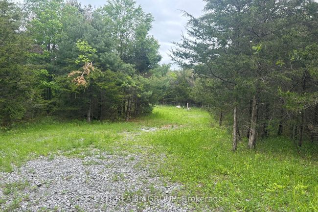 262 Johnston Rd, Home with 0 bedrooms, 0 bathrooms and null parking in Thomasburg ON | Image 5