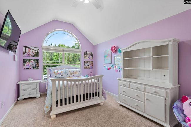 846 Village Well Ct, House other with 6 bedrooms, 5 bathrooms and null parking in Chapin SC | Image 35