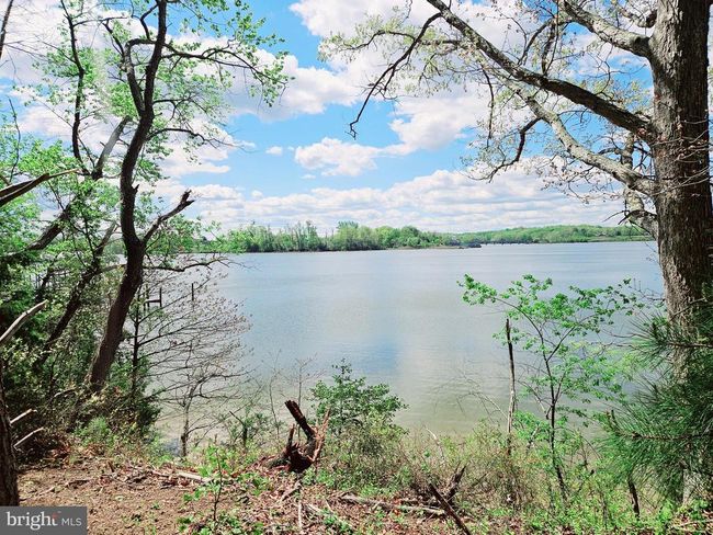 Lot 1 Zacata Rd, Home with 0 bedrooms, 0 bathrooms and null parking in Montross VA | Image 9