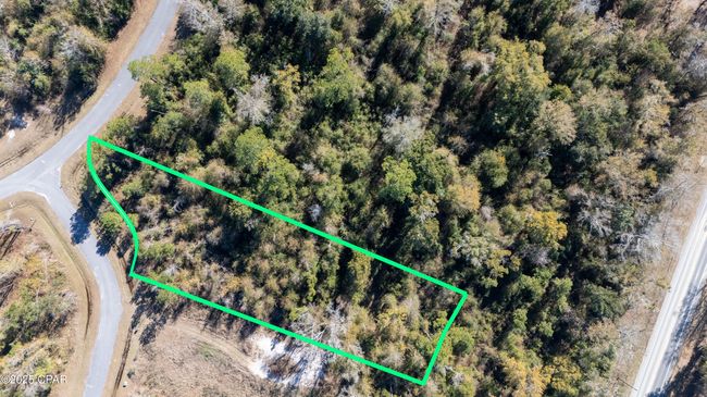 Lot 18 Seven Springs Drive, Home with 0 bedrooms, 0 bathrooms and null parking in Wewahitchka FL | Image 4