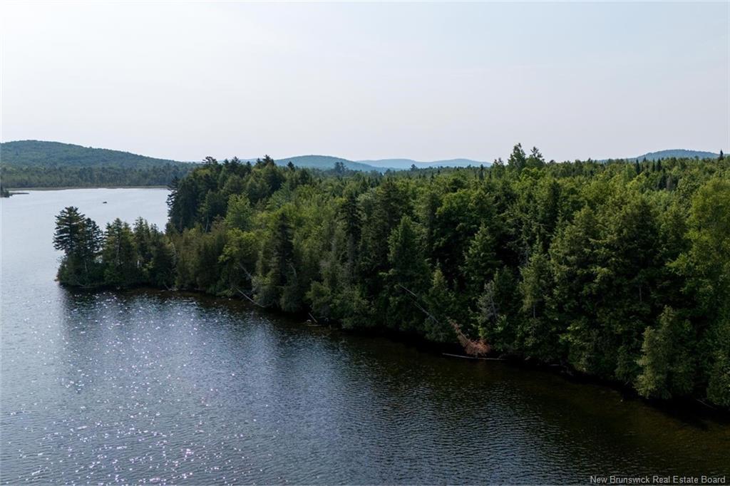 Land in Upper Skiff Lake 4