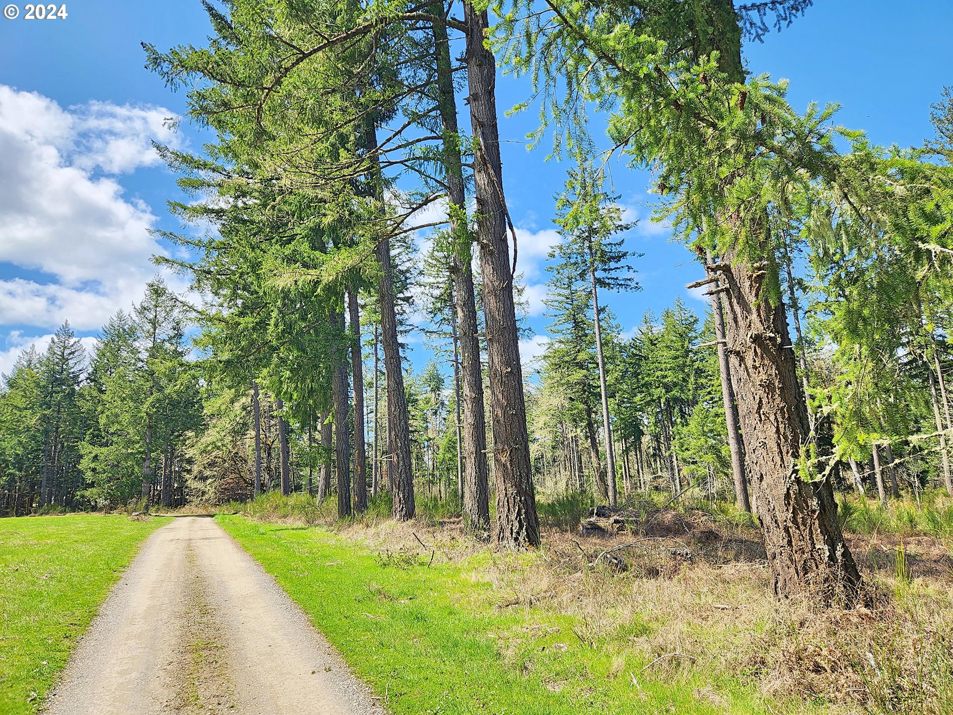 Hunter Rd, Veneta, OR 97487