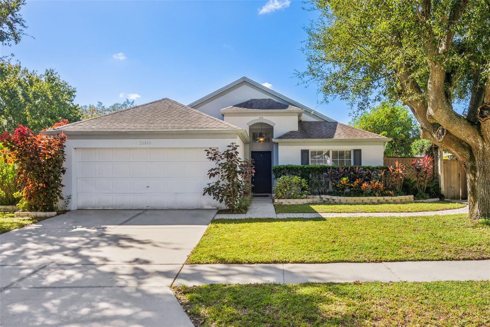 Roseann Pl, Lutz, FL 33559