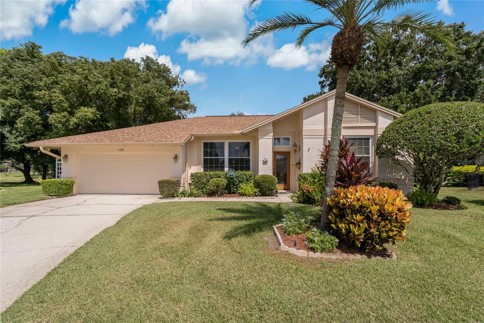 Hollowtree Pl, Tarpon Springs, FL 34688