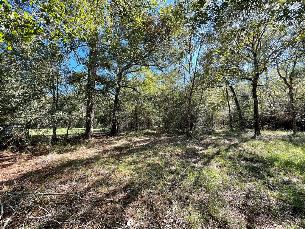 Brushy Creek Dr, Hockley, TX 77447