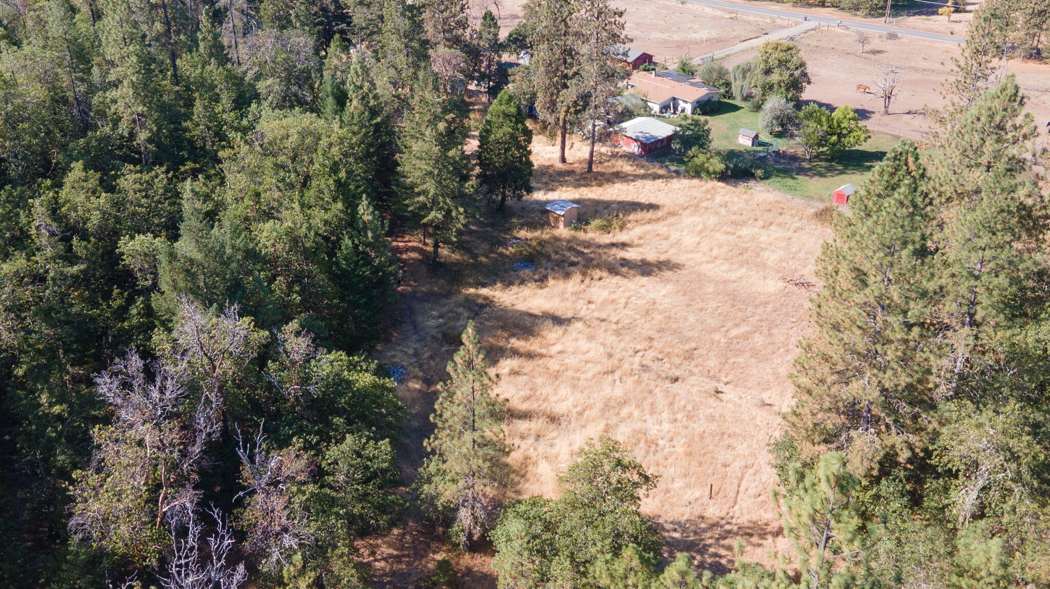 Monteflora Ter, Grants Pass, OR 97526
