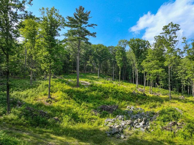 0 Rose Hill Rd, Home with 0 bedrooms, 0 bathrooms and null parking in Woodstock VT | Image 5