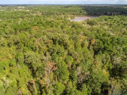 13.3 AC Myrtlewood Trail, Gilmer, TX, 75645 | Card Image