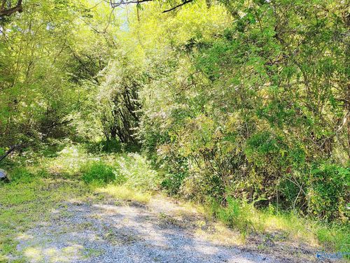 7725 Lavender Rd, Adger, AL, 35006-1511 | Card Image