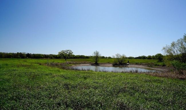 5411 N State Highway 95, Home with 3 bedrooms, 4 bathrooms and 2 parking in Flatonia TX | Image 24
