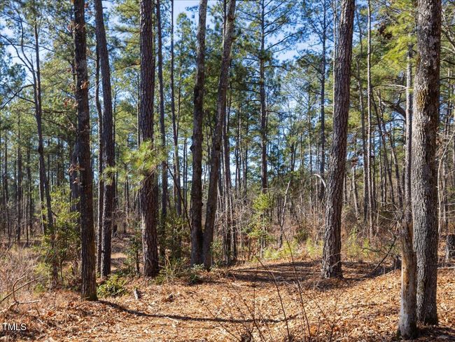 24-024-Tract1-RobedoRd-MontgomeryCounty- | Image 17